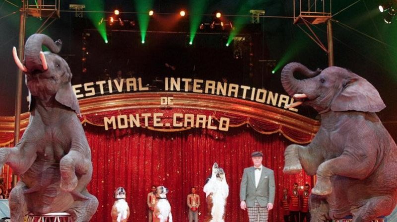 Festival del Circo di Montecarlo - Stasera in tv su Rai 3 (24 dicembre) Festival del Circo di Montecarlo - Stasera in tv su Rai 3 (24 dicembre)