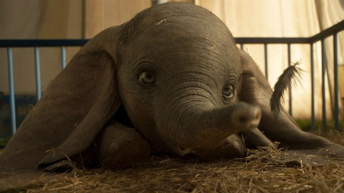 Il film Dumbo Il film Dumbo
