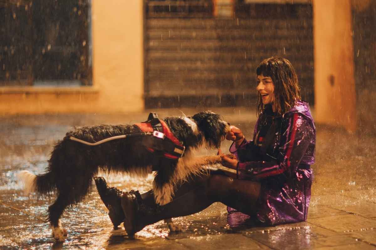 Fiction, rivoluzione in Rai per salvare Blanca, Makàri e Don Matteo (RaiPlay)