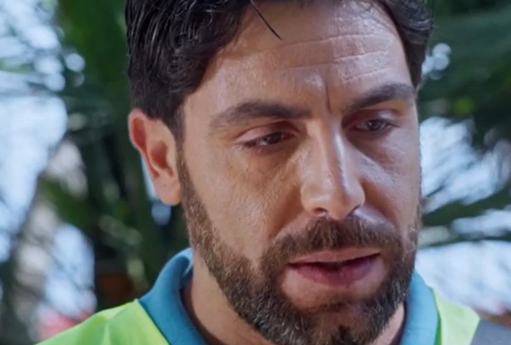 pino in un posto al sole